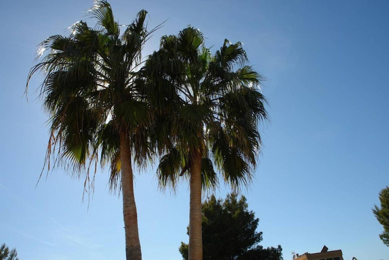 Holiday home Havana Alcudia (Mallorca)